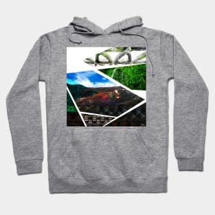 oaxaca the landscape of mexican life Hoodie